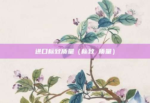 进口标致质量(标致 质量)