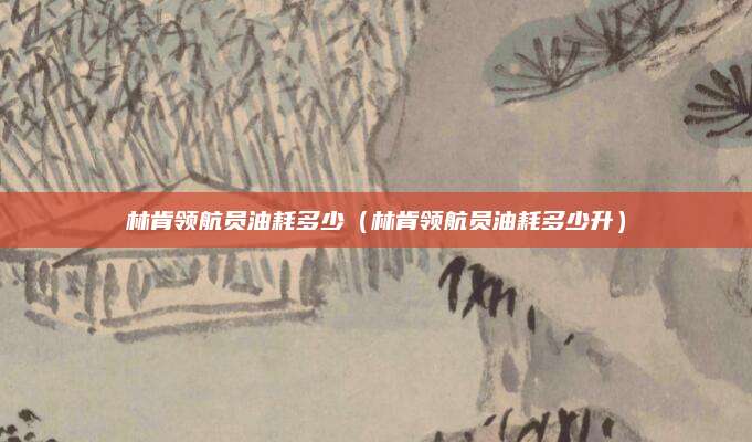 林肯领航员油耗多少(林肯领航员油耗多少升)