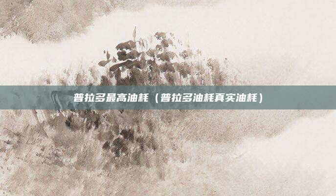 普拉多最高油耗(普拉多油耗真实油耗)