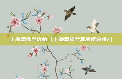上海雪佛兰价格(上海雪佛兰真的便宜吗?)