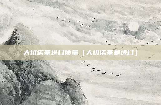大切诺基进口质量(大切诺基是进口)
