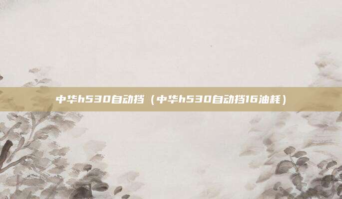 中华h530自动挡(中华h530自动挡16油耗)