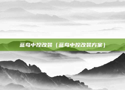 蓝鸟中控改装(蓝鸟中控改装方案)
