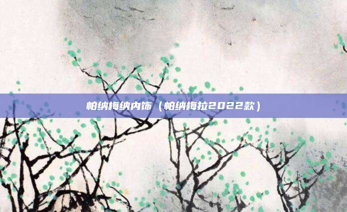 帕纳梅纳内饰(帕纳梅拉2022款)