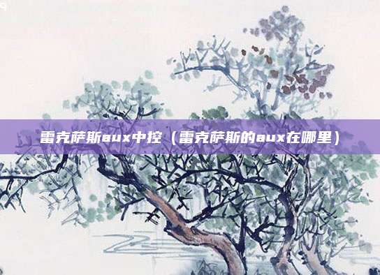 雷克萨斯aux中控(雷克萨斯的aux在哪里)