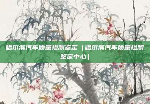 哈尔滨汽车质量检测鉴定(哈尔滨汽车质量检测鉴定中心)