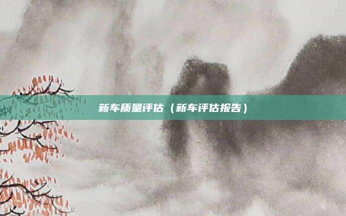 新车质量评估(新车评估报告)
