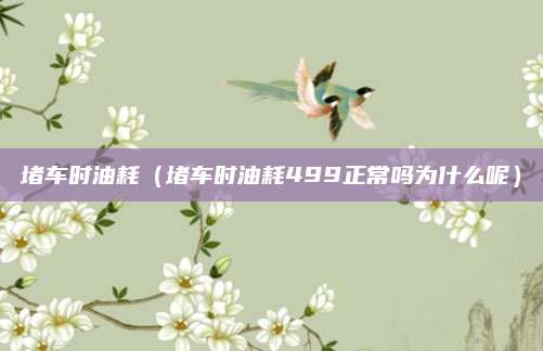 堵车时油耗(堵车时油耗499正常吗为什么呢)