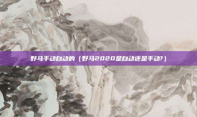 野马手动自动的(野马2020是自动还是手动?)