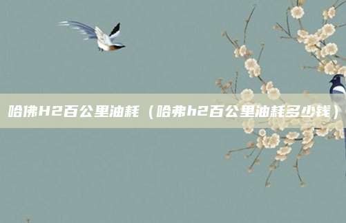 哈佛H2百公里油耗(哈弗h2百公里油耗多少钱)