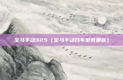 宝马手动325(宝马手动挡车型有哪些)
