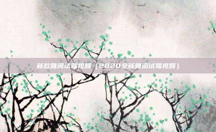 新款雅阁试驾视频(2020全新雅阁试驾视频)