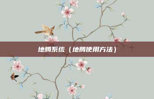 地腾系统(地腾使用方法)