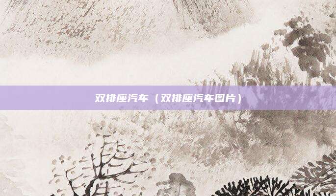 双排座汽车(双排座汽车图片)