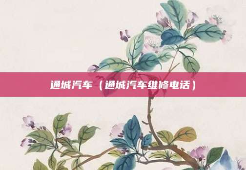 通城汽车(通城汽车维修电话)