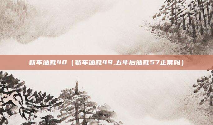 新车油耗40(新车油耗49,五年后油耗57正常吗)