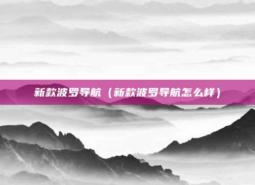 新款波罗导航（新款波罗导航怎么样）