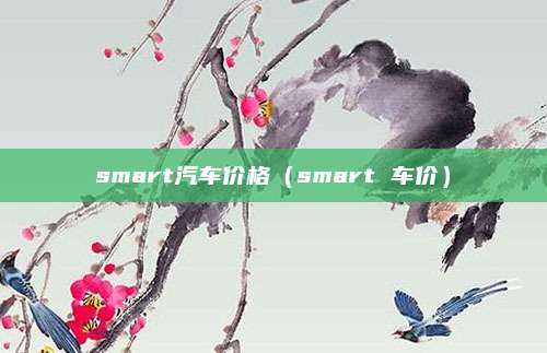 smart汽车价格(smart 车价)