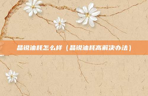 晶锐油耗怎么样(晶锐油耗高解决办法)