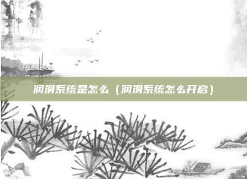 润滑系统是怎么(润滑系统怎么开启)