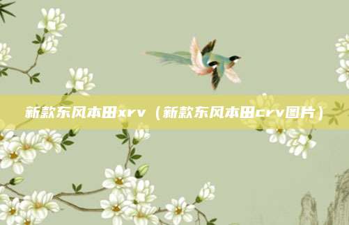 新款东风本田xrv(新款东风本田crv图片)