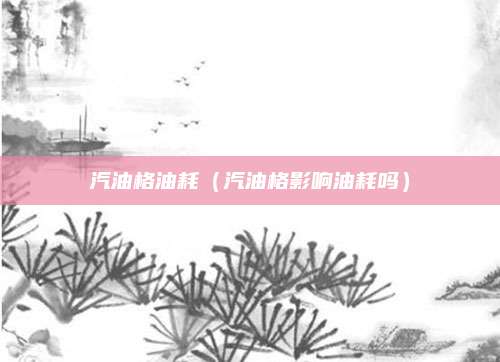汽油格油耗(汽油格影响油耗吗)