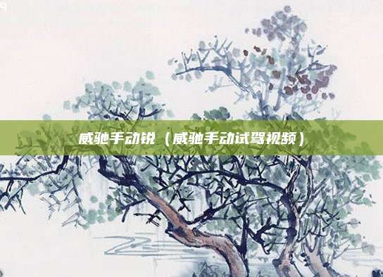 威驰手动锐(威驰手动试驾视频)