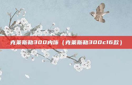 克莱斯勒300内饰(克莱斯勒300c16款)
