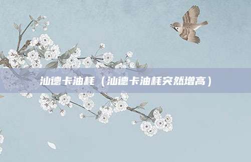 汕德卡油耗(汕德卡油耗突然增高)