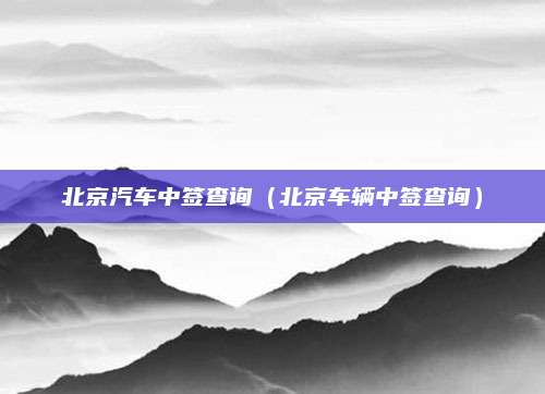 北京汽车中签查询(北京车辆中签查询)