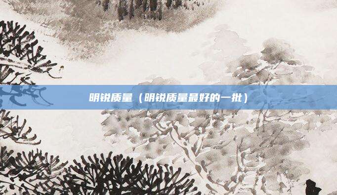 明锐质量(明锐质量最好的一批)