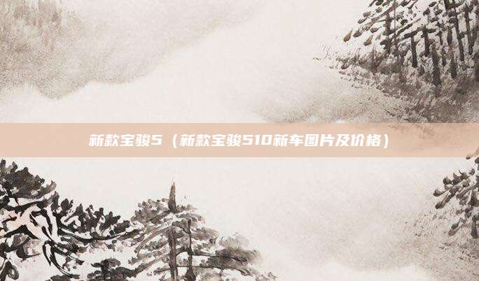 新款宝骏5(新款宝骏510新车图片及价格)