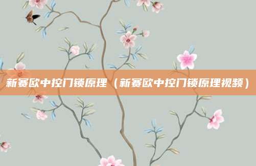 新赛欧中控门锁原理(新赛欧中控门锁原理视频)