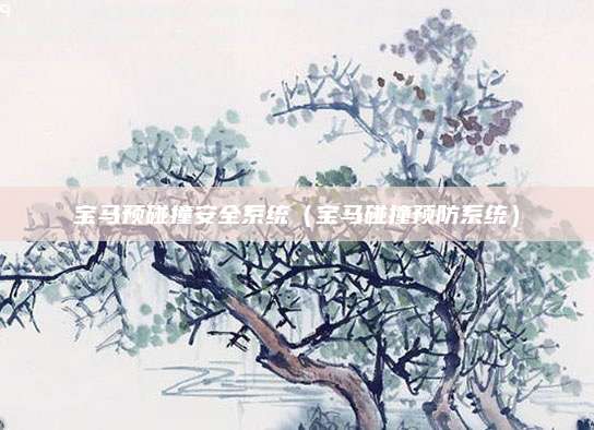 宝马预碰撞安全系统(宝马碰撞预防系统)