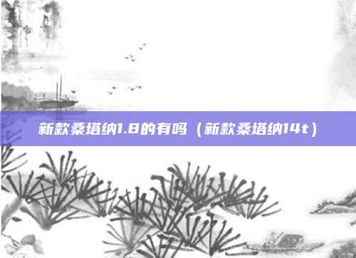新款桑塔纳1.8的有吗(新款桑塔纳14t)