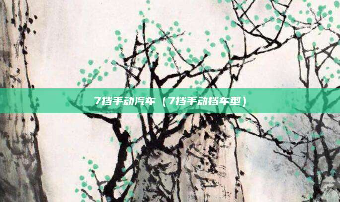 7挡手动汽车(7挡手动挡车型)