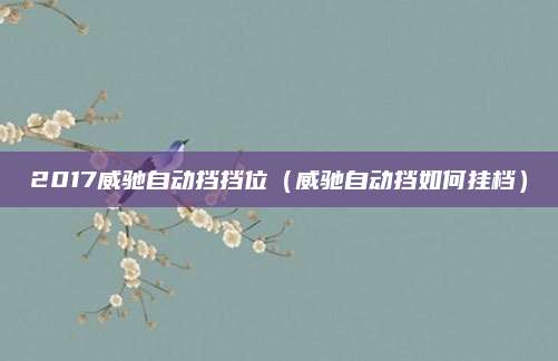 2017威驰自动挡挡位(威驰自动挡如何挂档)