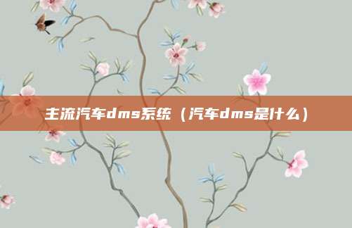 主流汽车dms系统(汽车dms是什么)