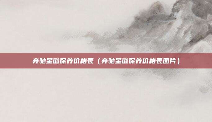 奔驰星徽保养价格表(奔驰星徽保养价格表图片)