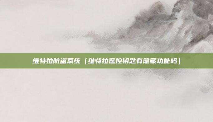 维特拉防盗系统(维特拉遥控钥匙有隐藏功能吗)