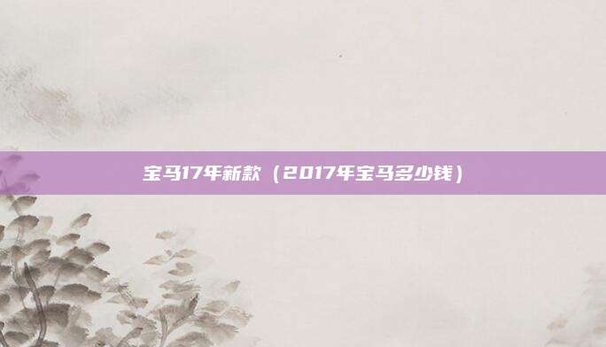 宝马17年新款(2017年宝马多少钱)