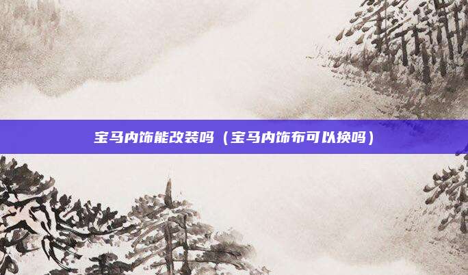 宝马内饰能改装吗(宝马内饰布可以换吗)