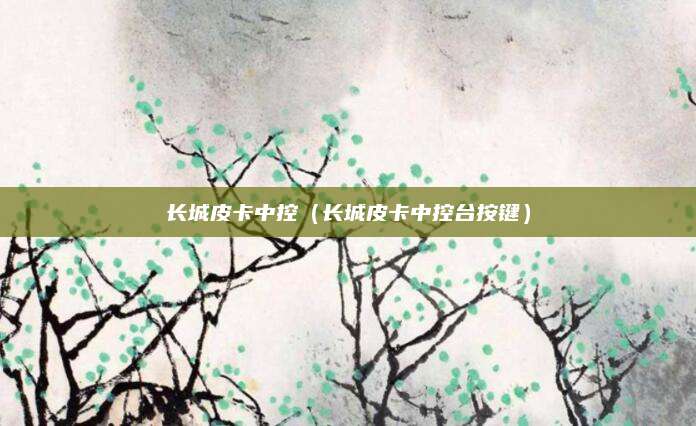 长城皮卡中控(长城皮卡中控台按键)