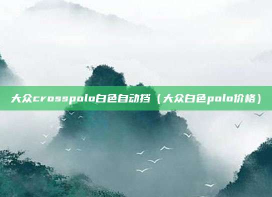 大众crosspolo白色自动挡(大众白色polo价格)