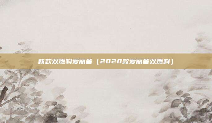 新款双燃料爱丽舍(2020款爱丽舍双燃料)