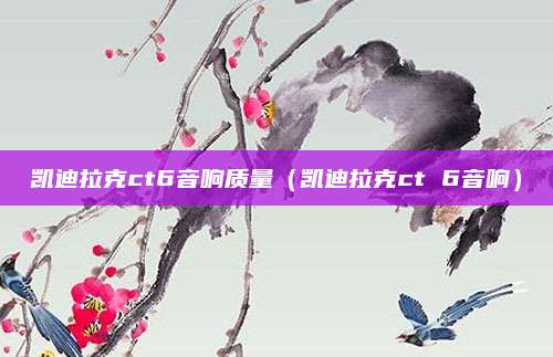 凯迪拉克ct6音响质量(凯迪拉克ct 6音响)