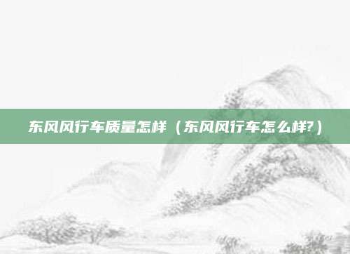 东风风行车质量怎样(东风风行车怎么样?)
