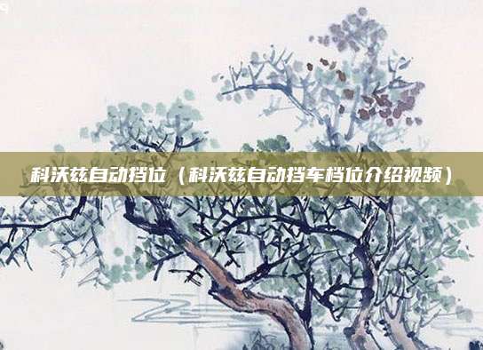 科沃兹自动挡位(科沃兹自动挡车档位介绍视频)