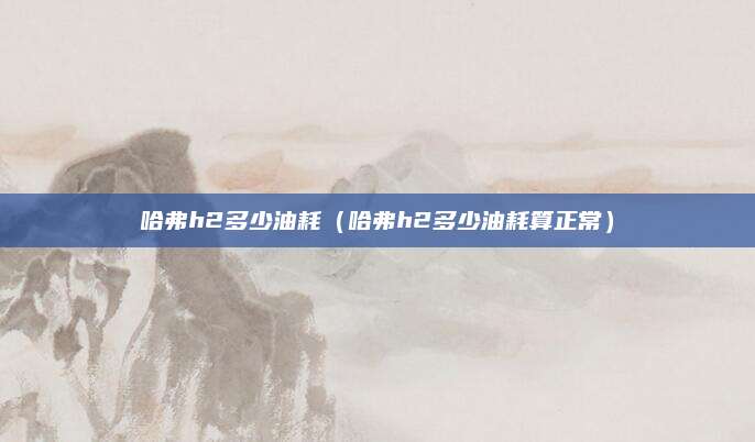 哈弗h2多少油耗（哈弗h2多少油耗算正常）