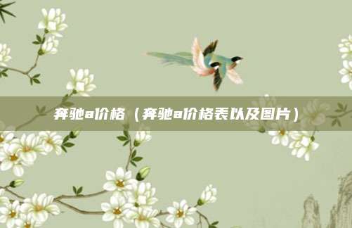 奔驰a价格（奔驰a价格表以及图片）